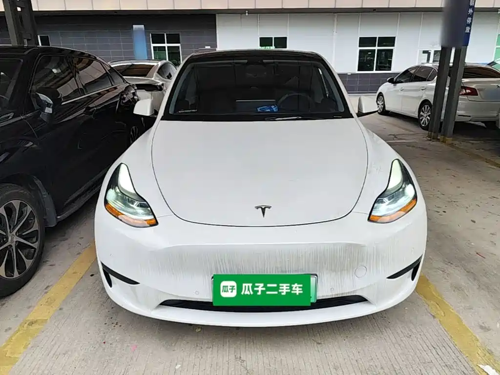 Tesla Model Y — миниатюра 3