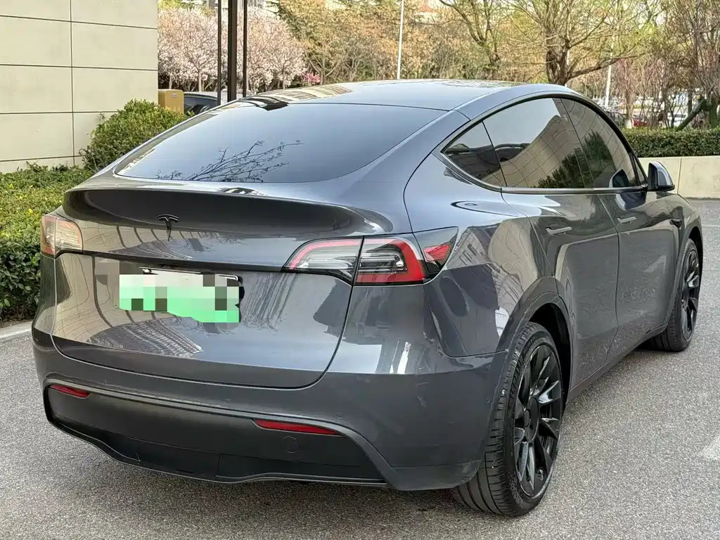 Tesla Model Y — миниатюра 4