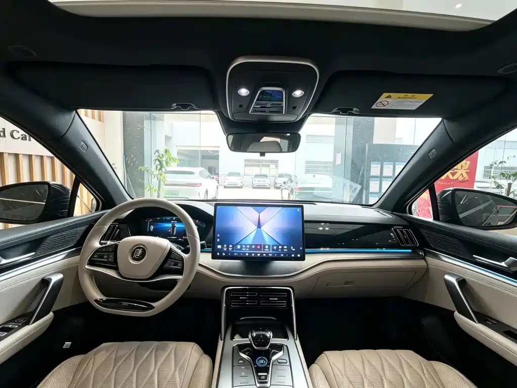 BYD Tang New Energy — миниатюра 12