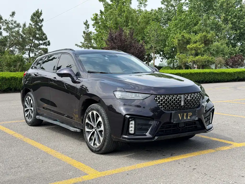 Купить Wey Wey VV7