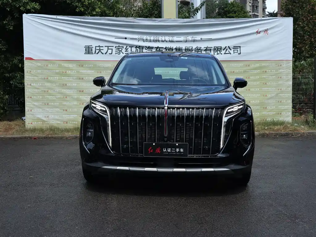 Hongqi Hongqi HS7 PHEV — миниатюра 2