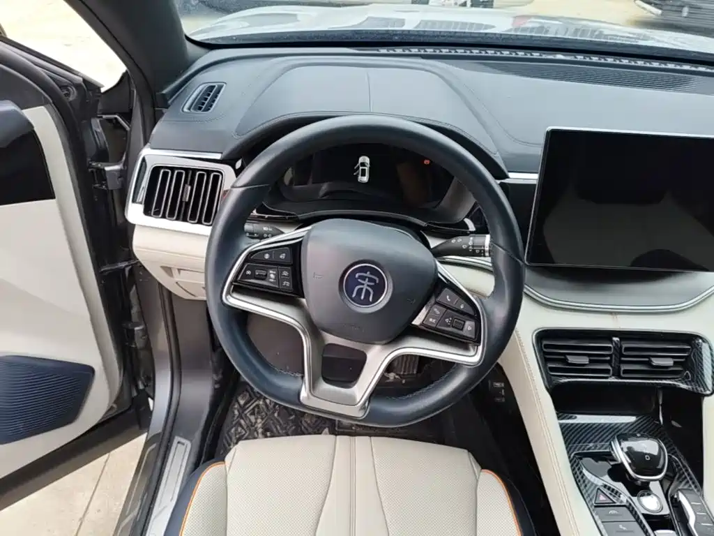 BYD PLUS New Energy — миниатюра 11