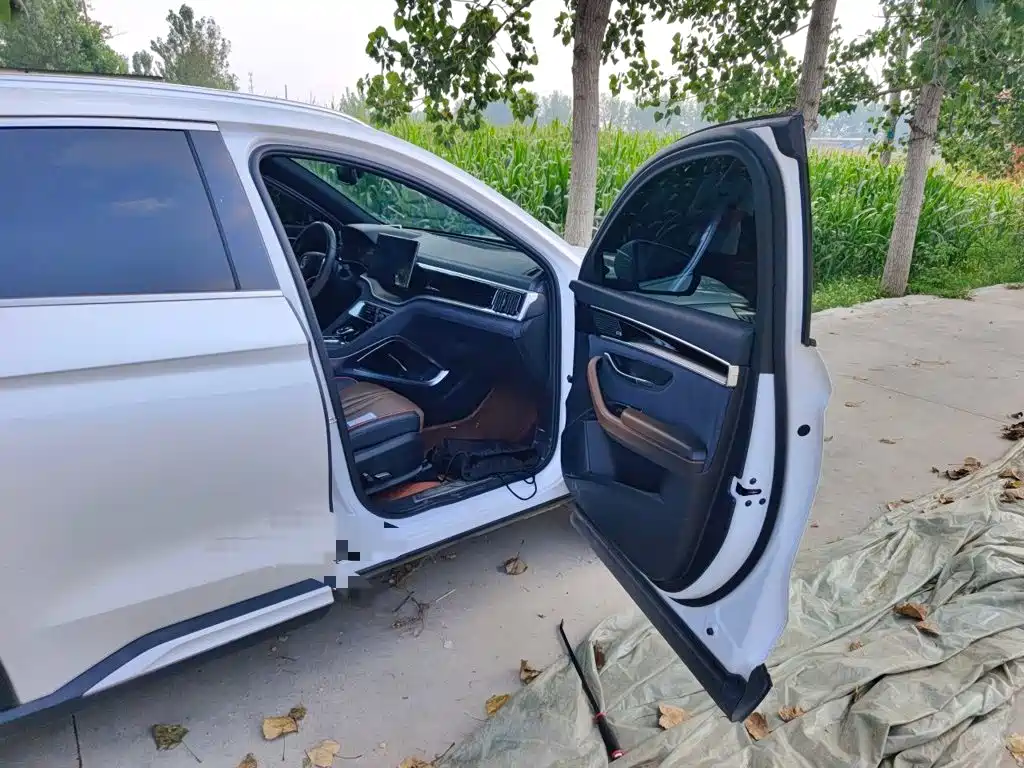 BYD PLUS — миниатюра 19