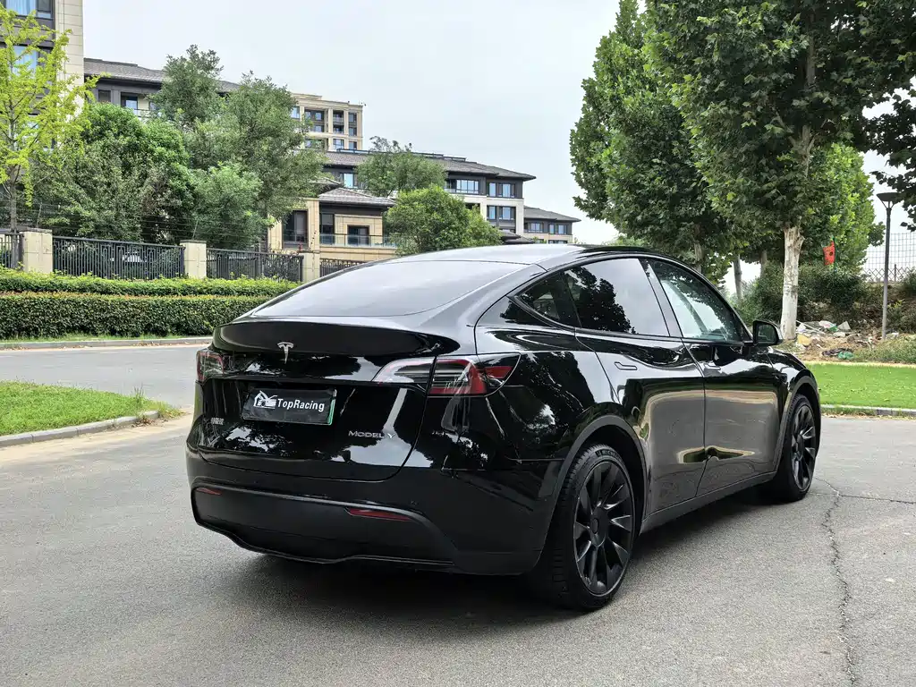 Tesla Model Y — миниатюра 7