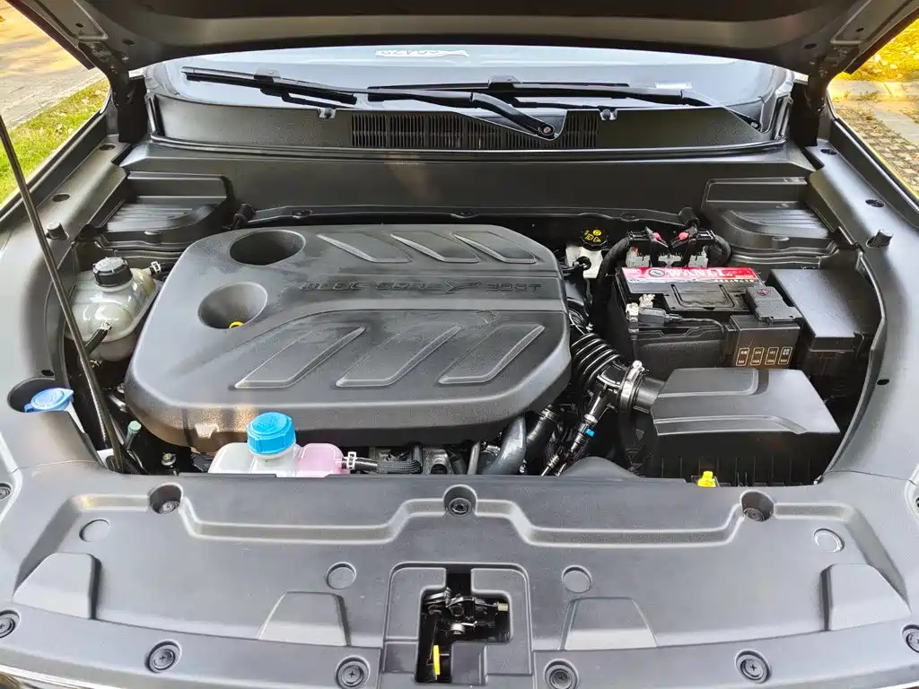 Oshan Oushang X5 — миниатюра 12