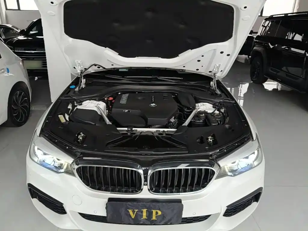 BMW 5 Series — миниатюра 20