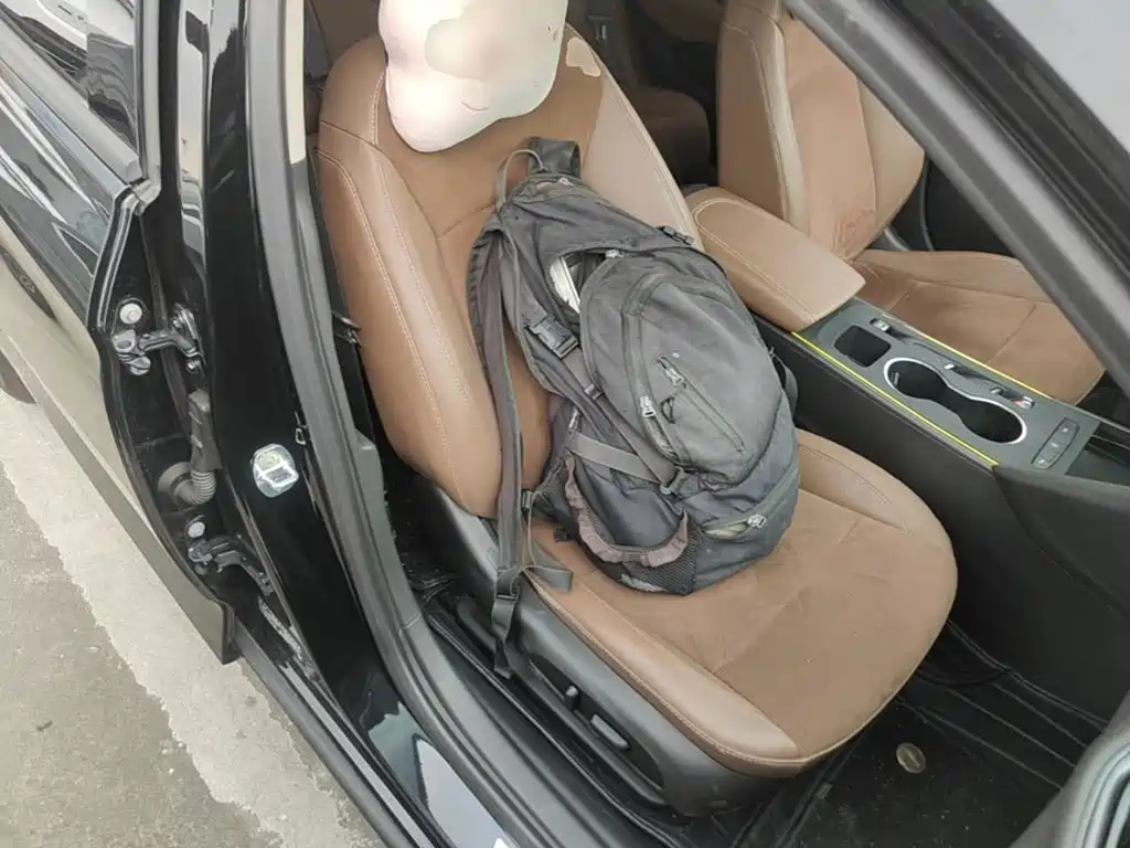 Buick Regal — миниатюра 25