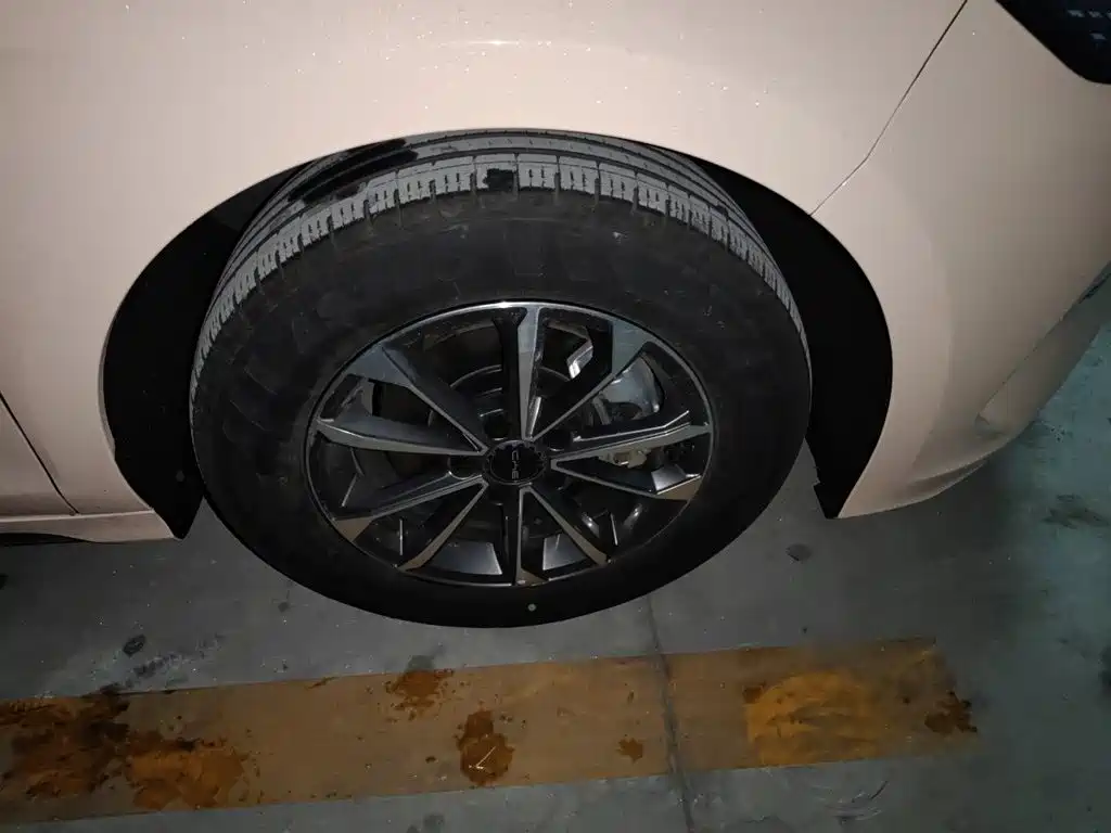 BYD Destroyer 05 — миниатюра 8