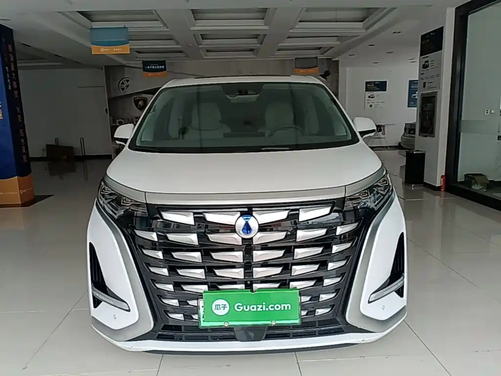 Denza D9 2022 DM-i 970