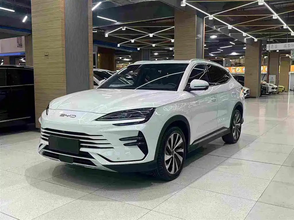 BYD PLUS New Energy