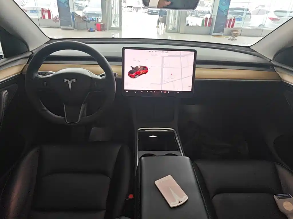 Tesla Model Y — миниатюра 10