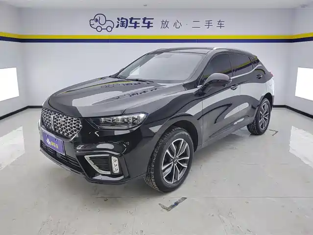 WEI PAI WEI BRAND VV5 2020