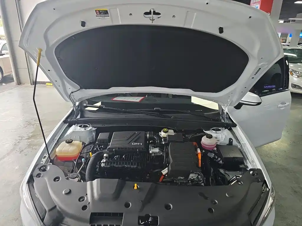 BYD Qin PLUS — миниатюра 17
