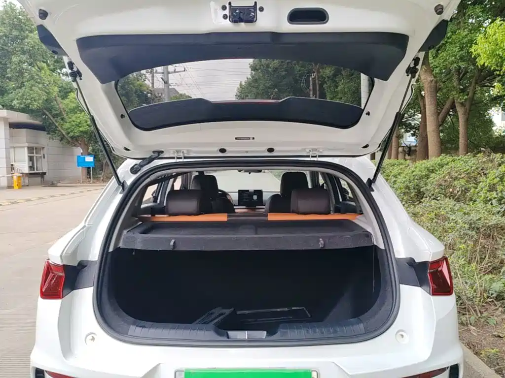 BYD e2 — миниатюра 19