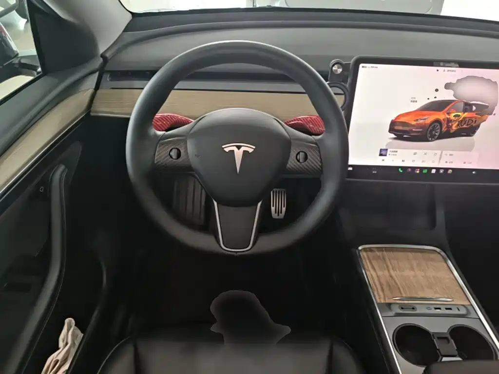 Tesla Model Y — миниатюра 11