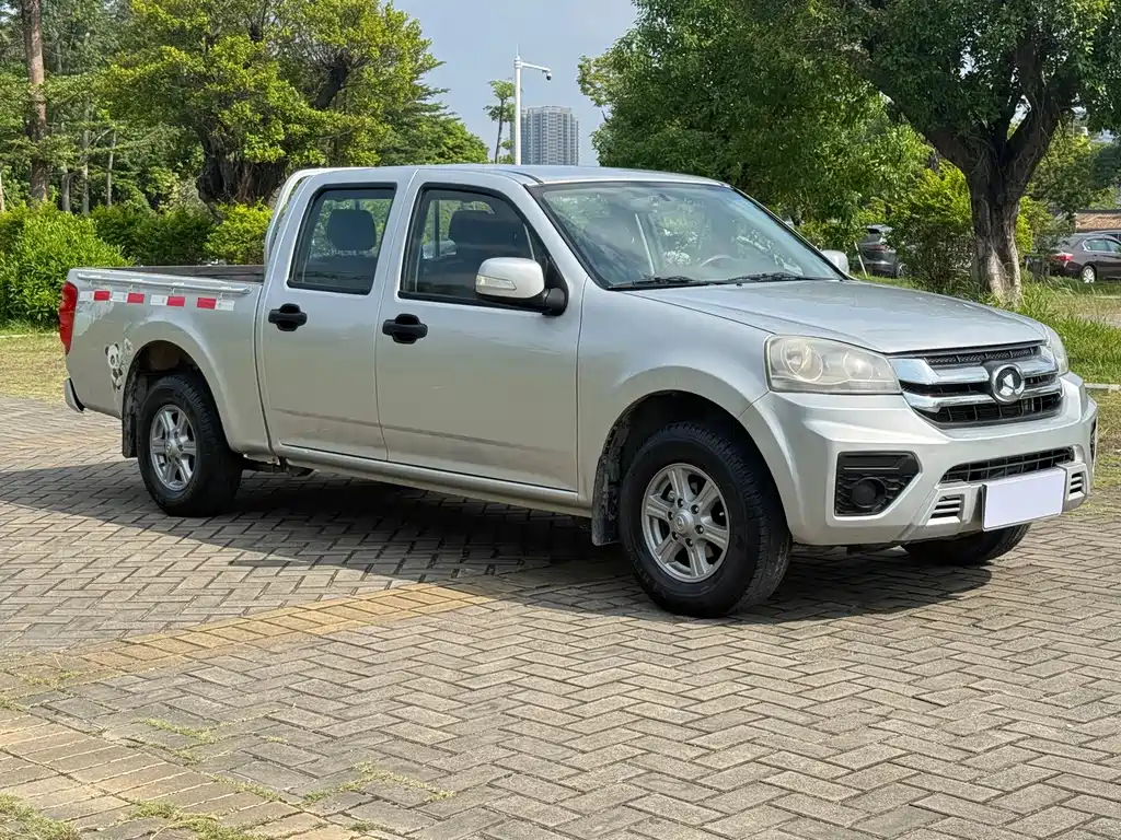 GREAT WALL FENGJUN 5