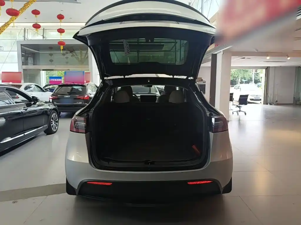 Tesla Model Y — миниатюра 19