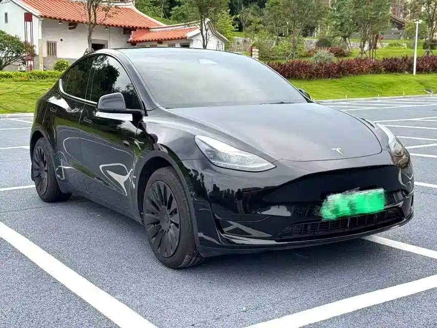 Tesla Model Y — миниатюра 3