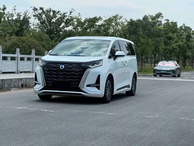 2022 Denza D9