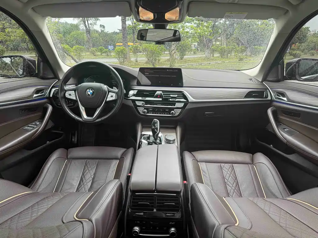 BMW 5 Series 5 2020 530Li Premium Luxury
