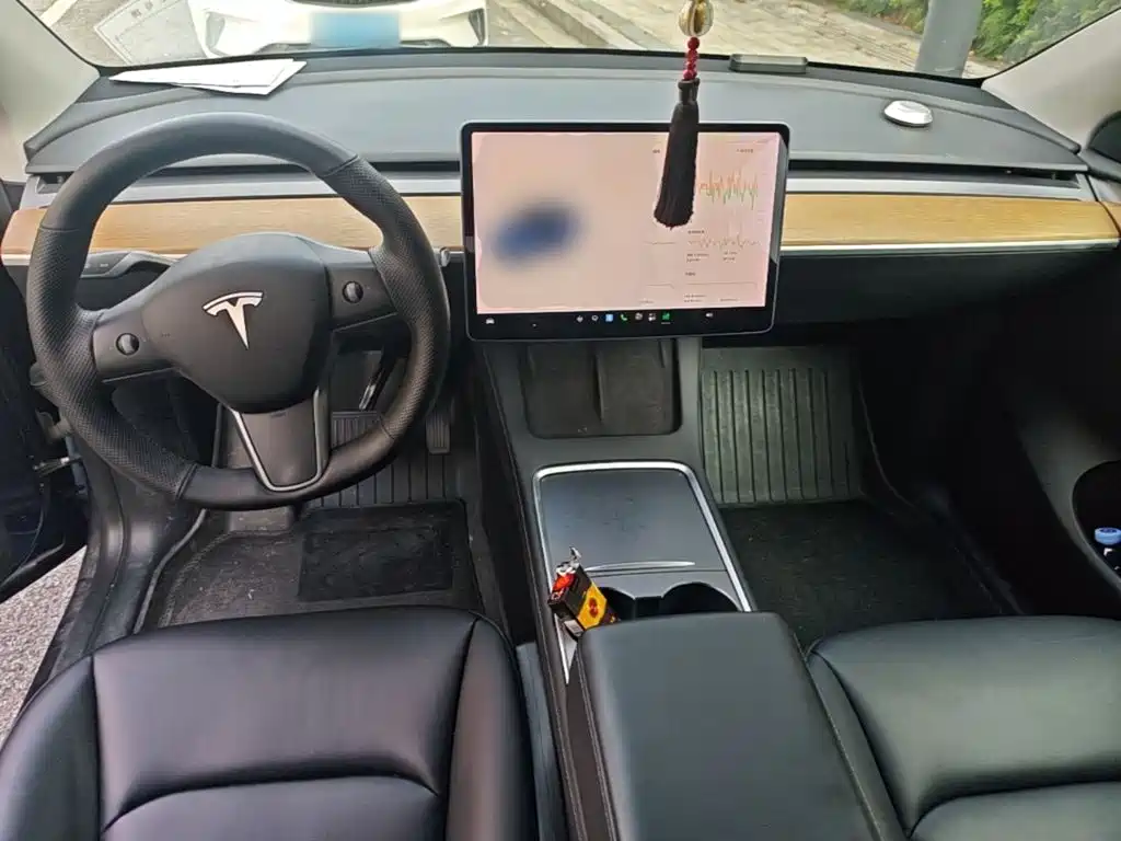 Tesla Model Y — миниатюра 10