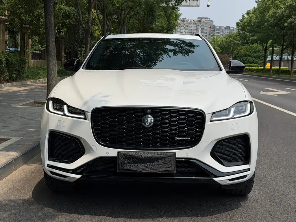 Jaguar F-PACE P250 R-Dynamic HSE, фото 2