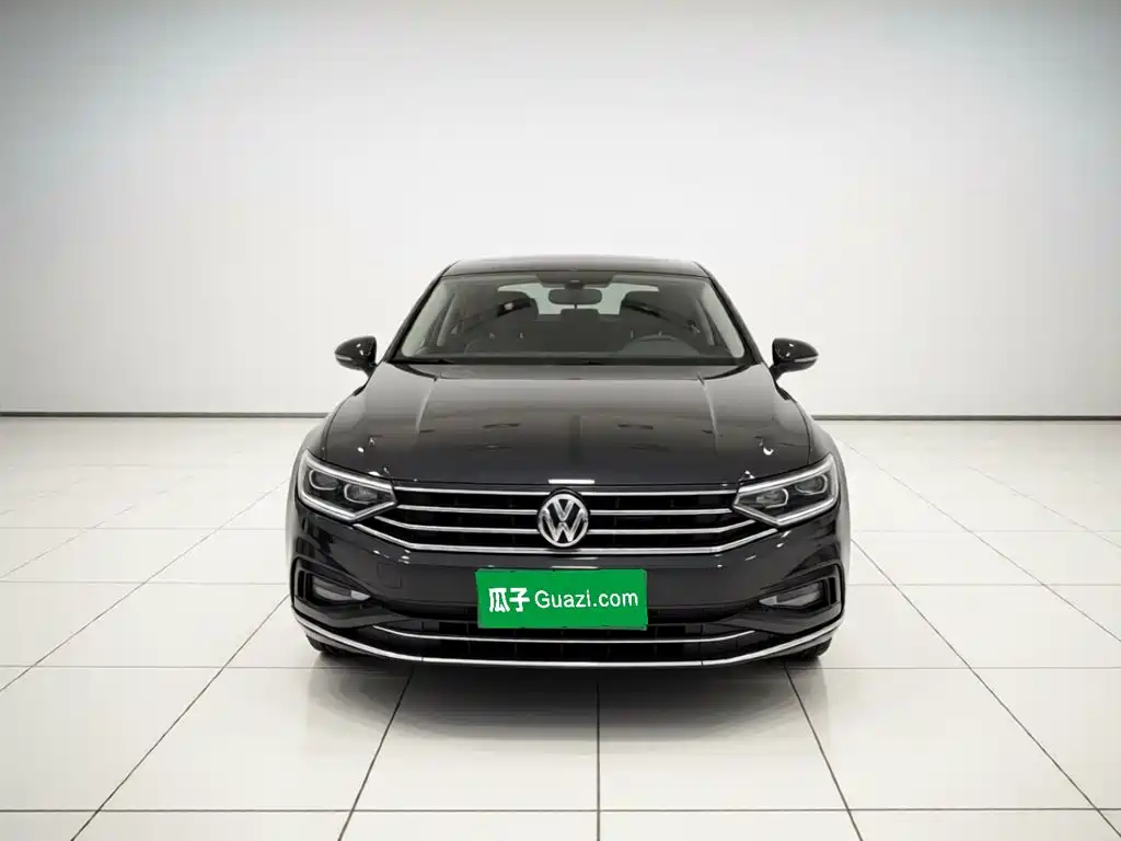 Volkswagen Magotan — миниатюра 2