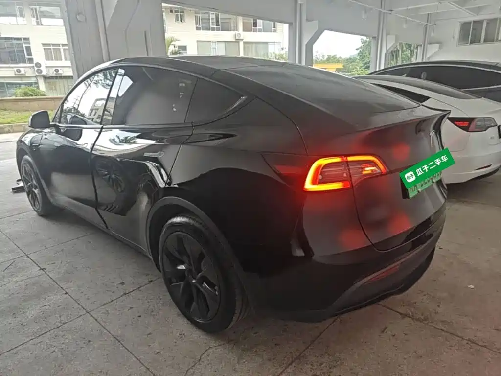 Tesla Model Y — миниатюра 5