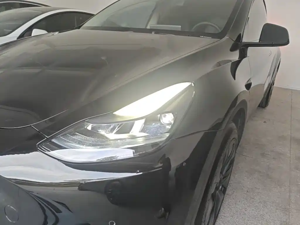 Tesla Model Y — миниатюра 24