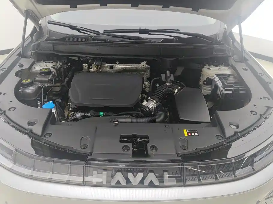 Haval Xiaolong MAX — миниатюра 10