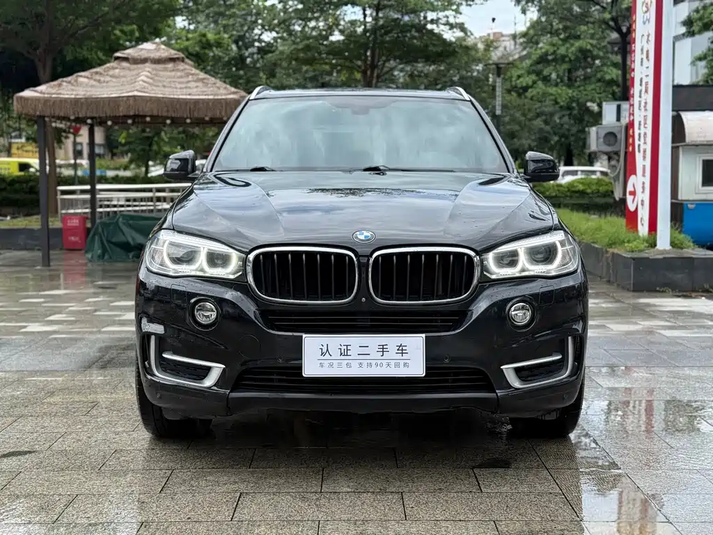 BMW X5 (Import) — миниатюра 2