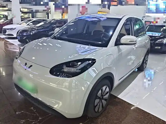 2024 Wuling Motors Binguo