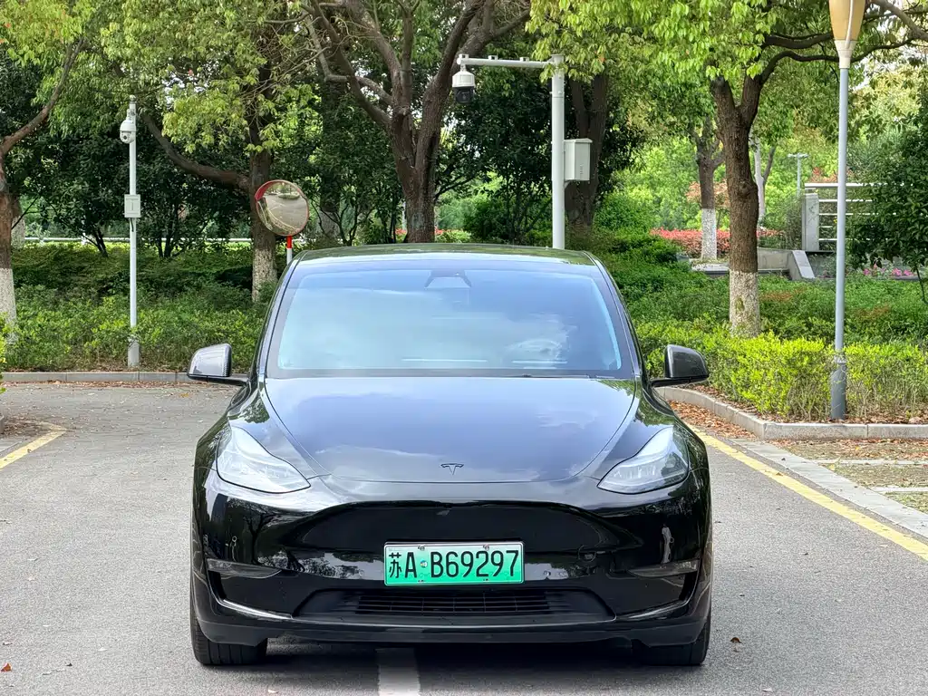 Tesla Model Y 2021 Performance