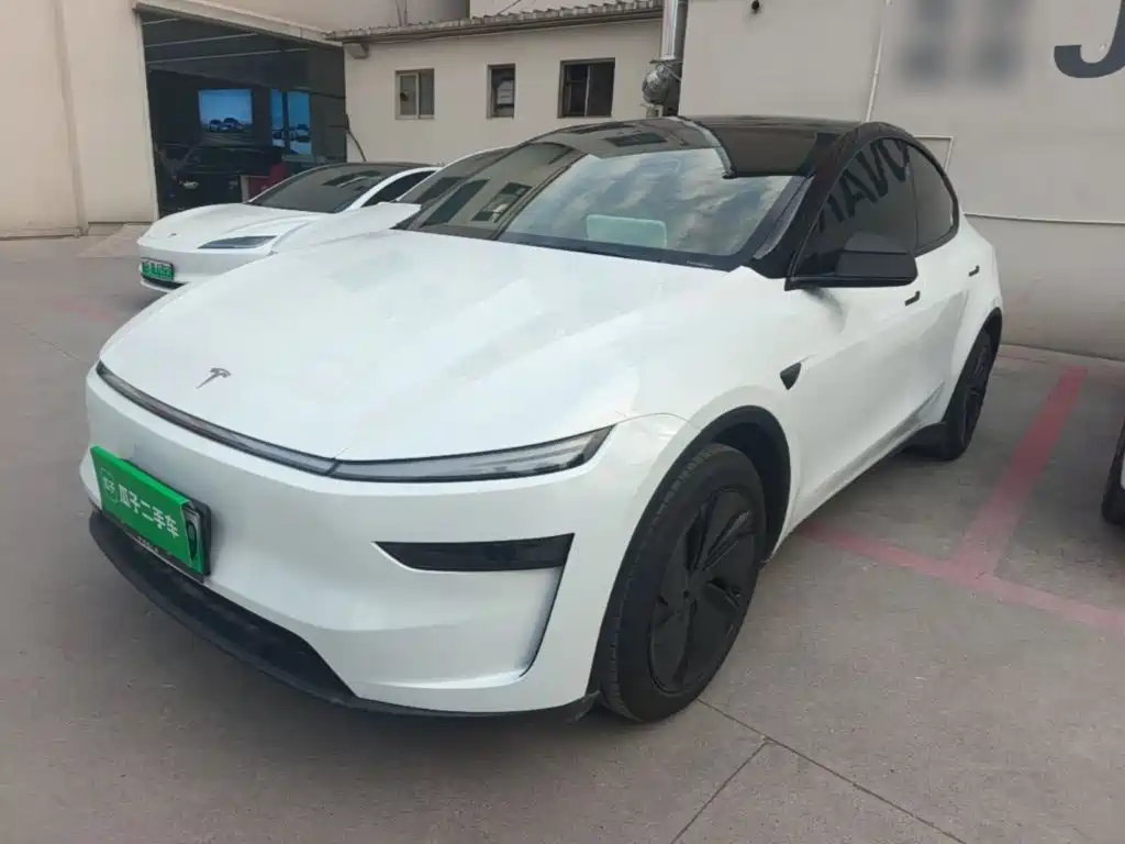 Tesla Model Y — миниатюра 2