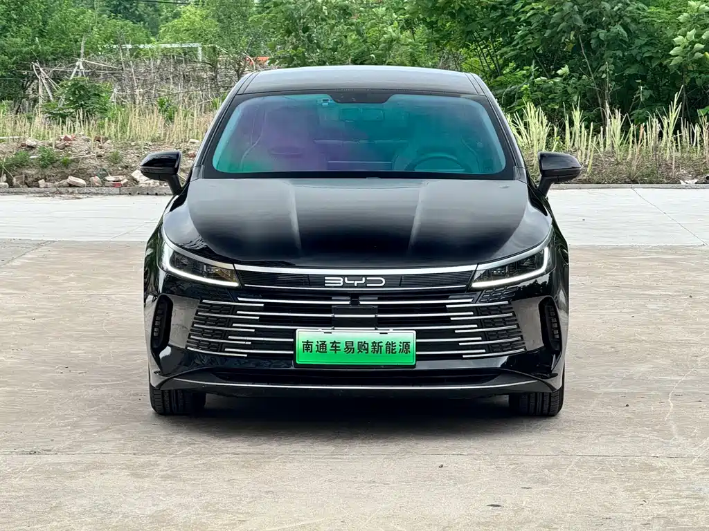 BYD Destroyer 05 2023 Champion DM-i 55KM Luxury