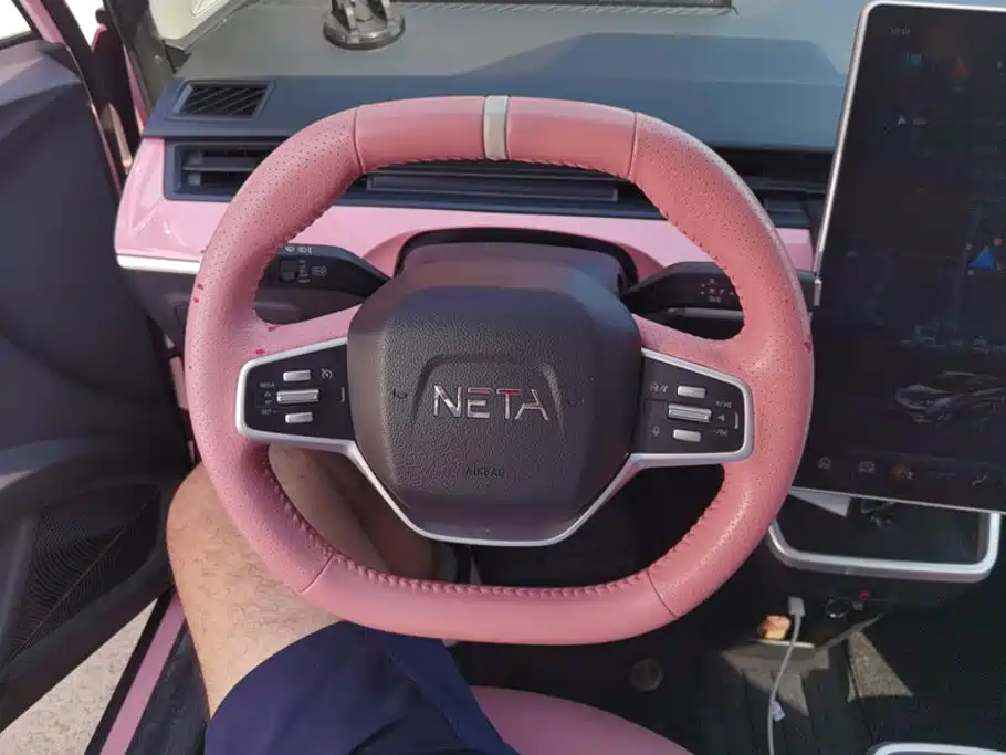 Neta Neta V — миниатюра 15