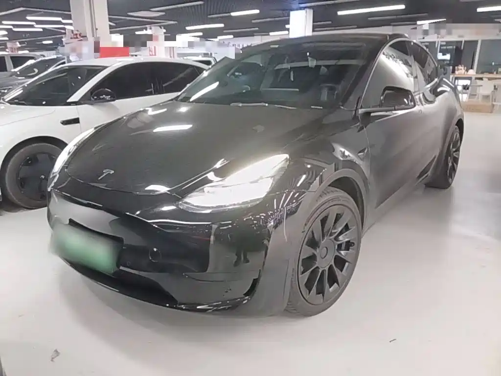 Tesla Model Y — миниатюра 2