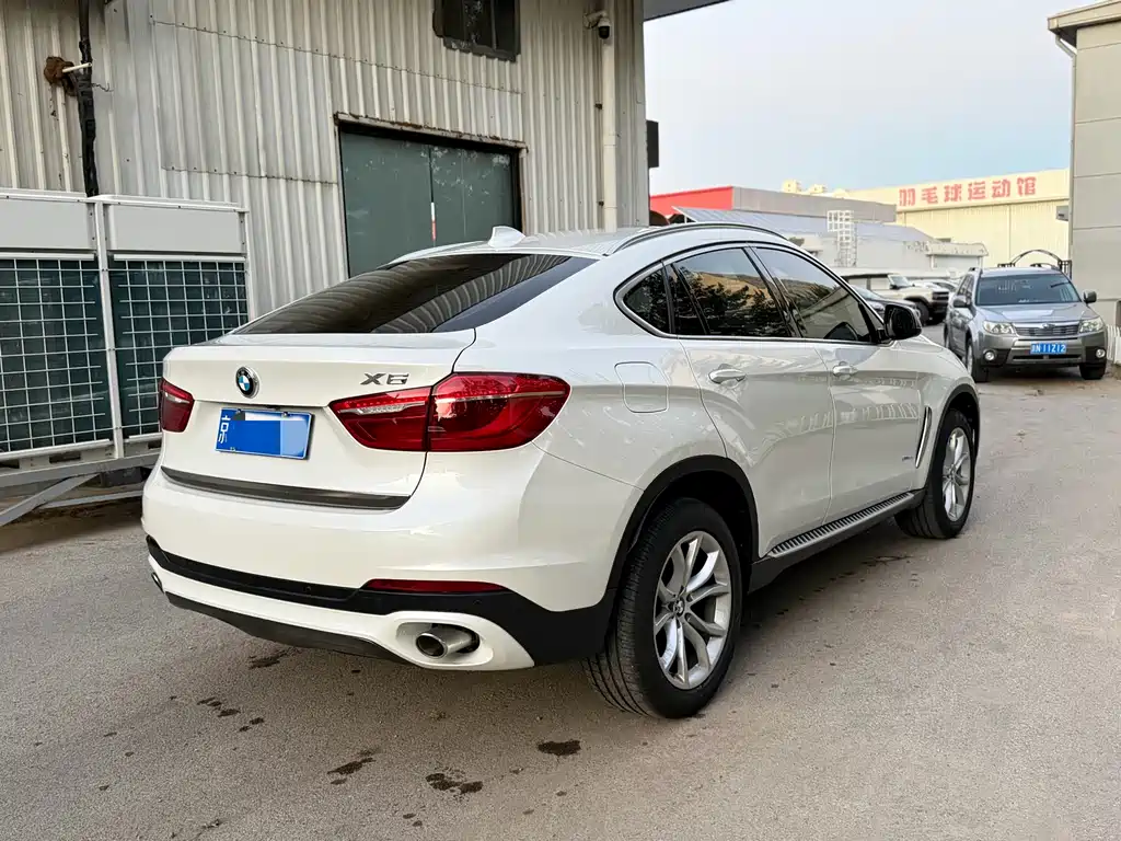 BMW X6 — миниатюра 12