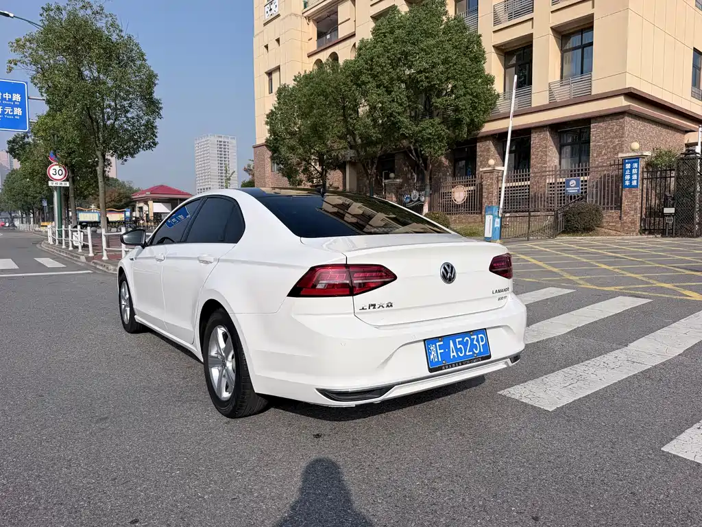 Volkswagen Lamando — миниатюра 5