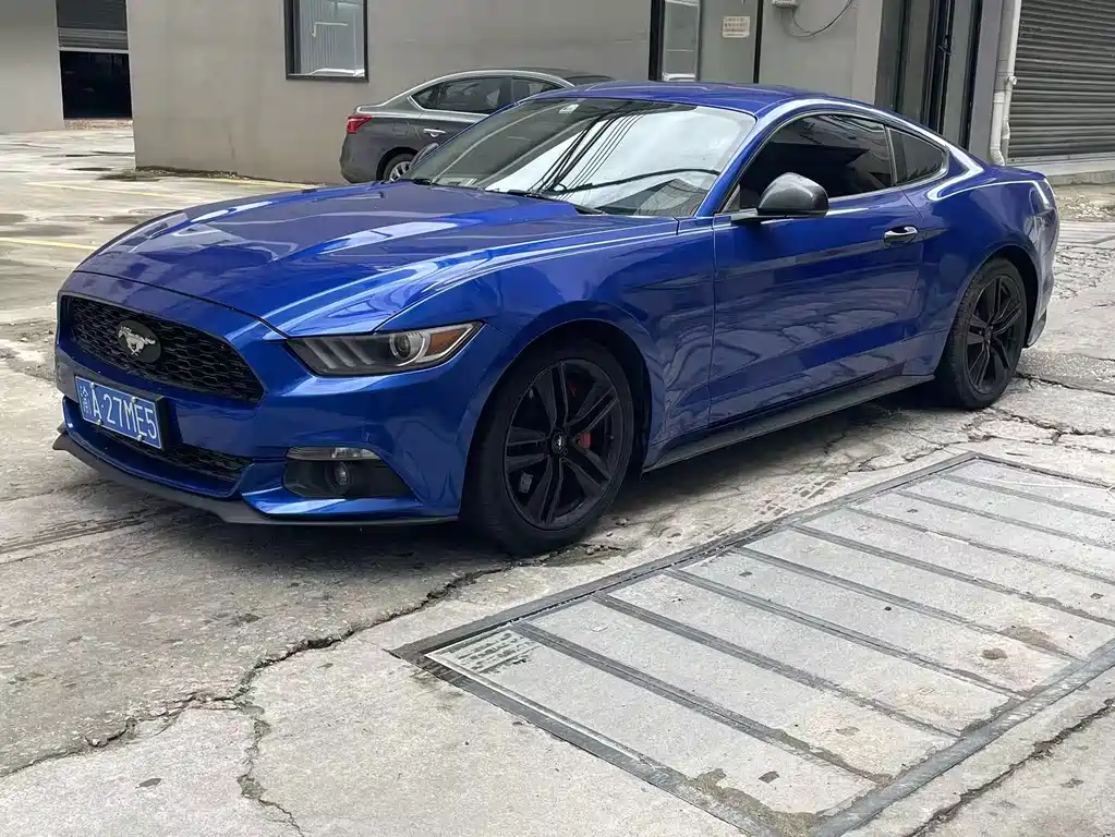 Ford Mustang — миниатюра 3