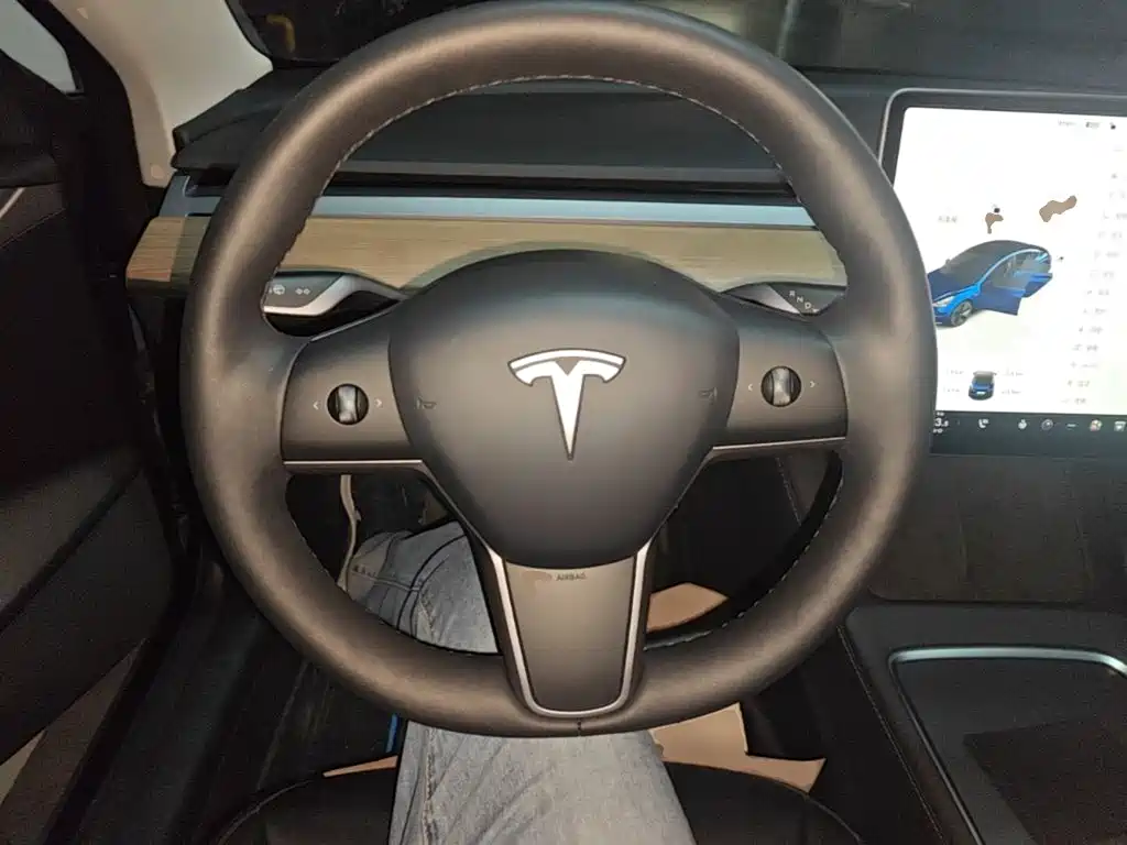 Tesla Model 3 — миниатюра 11