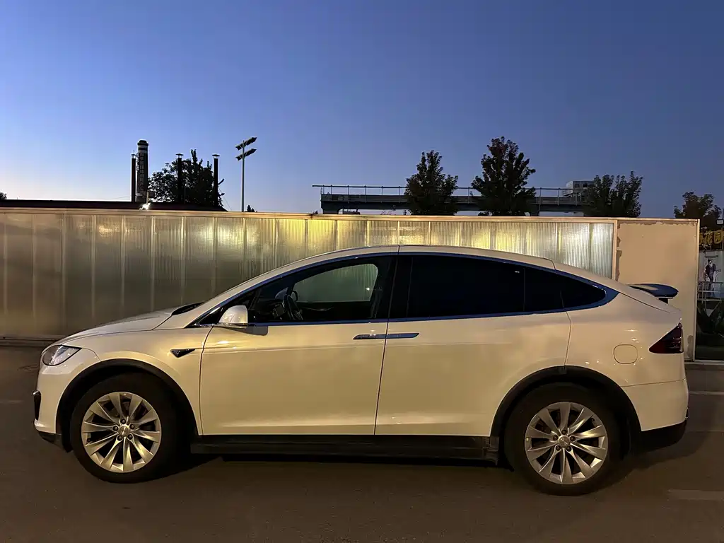 Tesla Model X — миниатюра 21