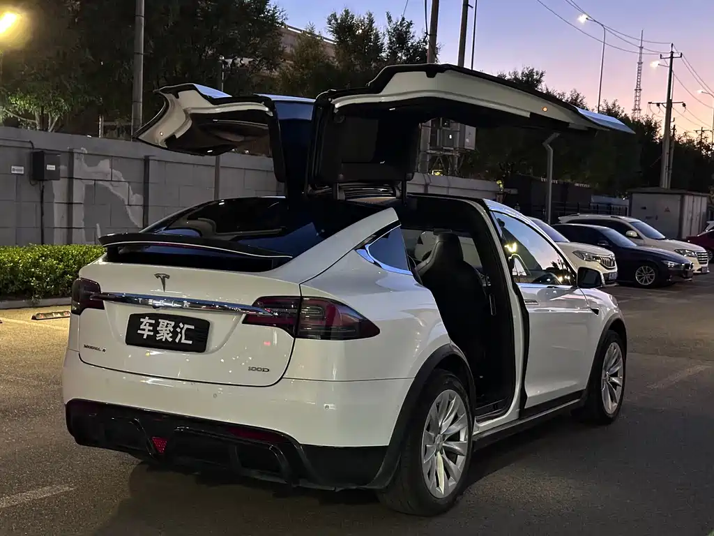 Tesla Model X — миниатюра 22