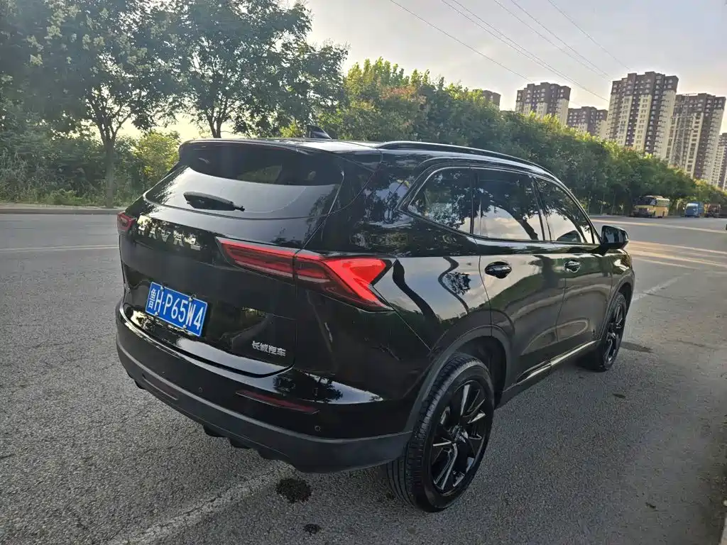 Haval H6 — миниатюра 7