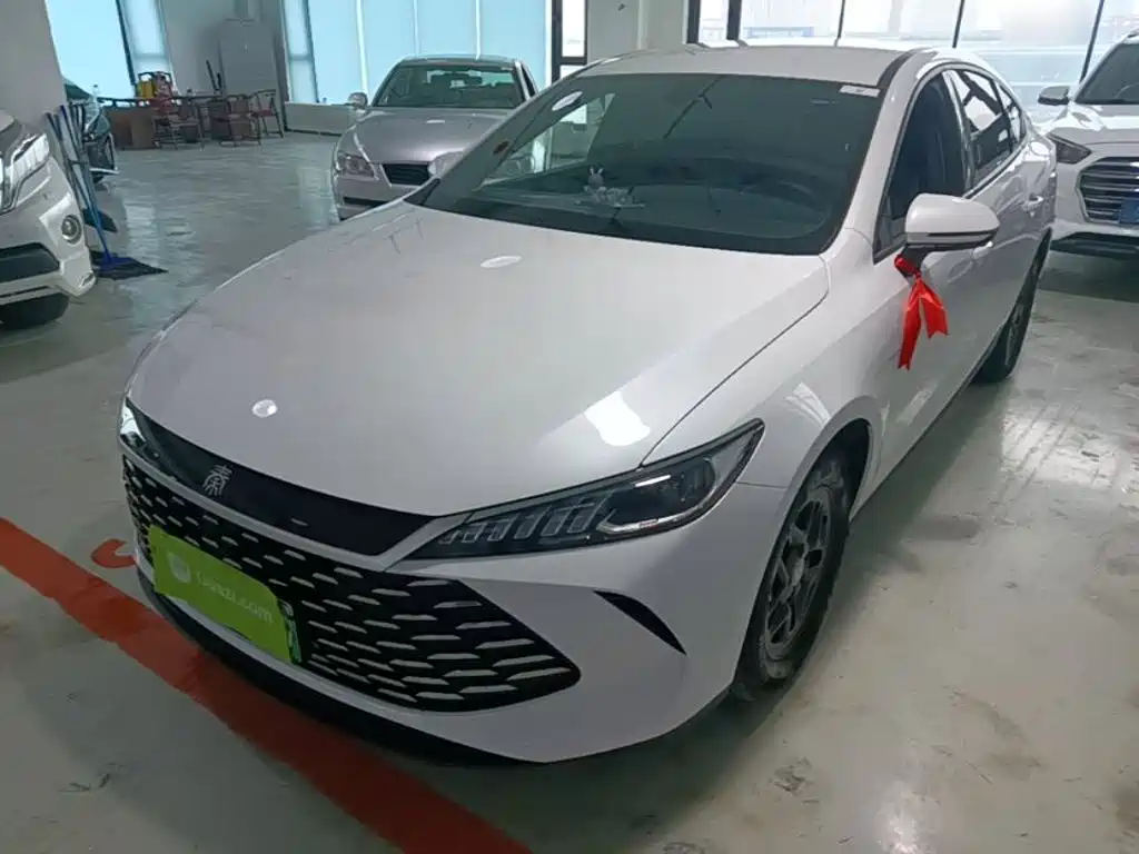 BYD Qin Plus PLUS 2025 DM-i Smart Drive 55KM Lead