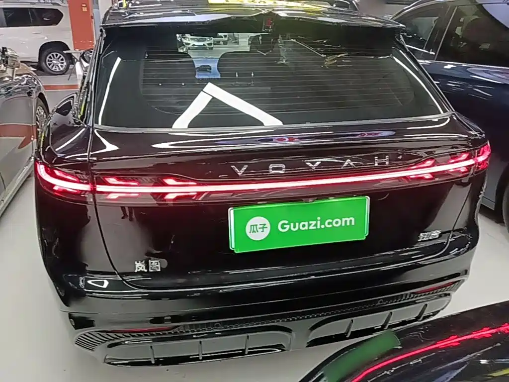 VOYAH Zhiyin — миниатюра 6