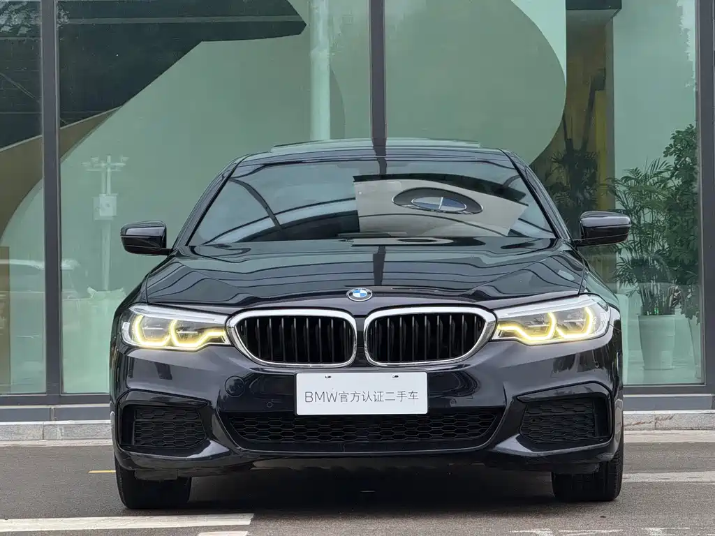 BMW 5 Series — миниатюра 18