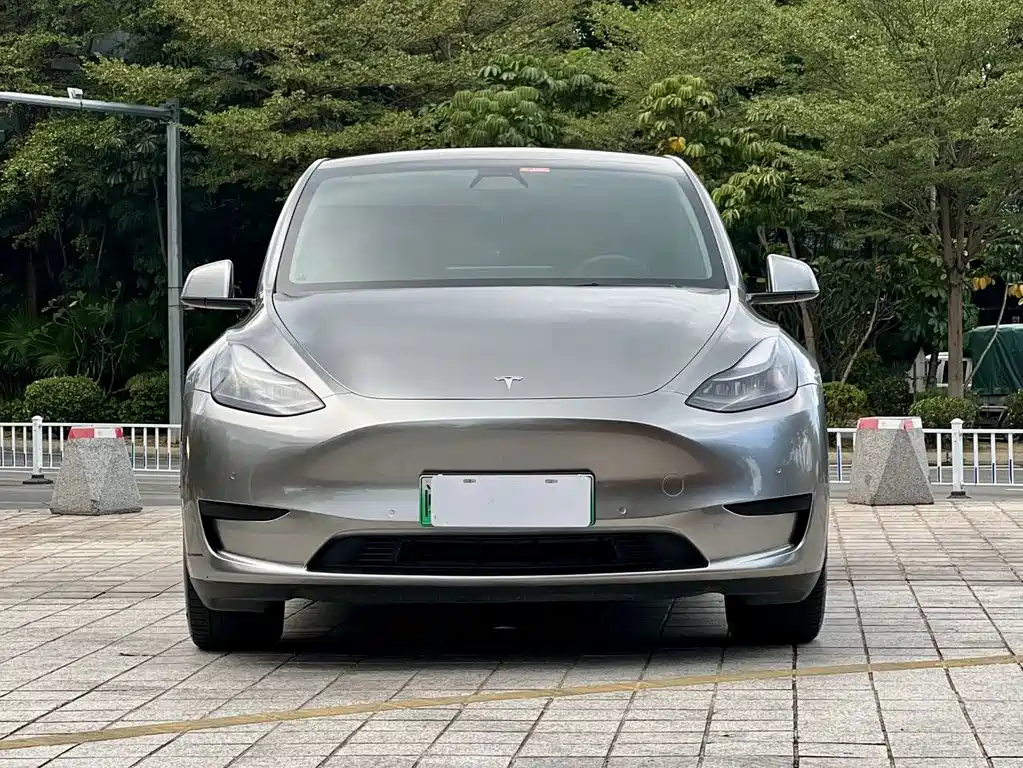 Tesla Model Y — миниатюра 2
