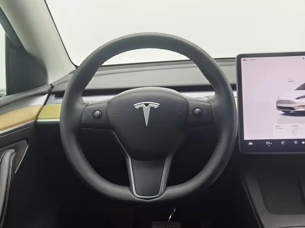 Tesla Model Y — миниатюра 11