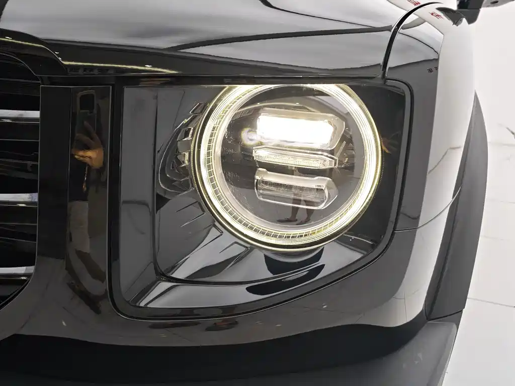 Haval Big Dog — миниатюра 17